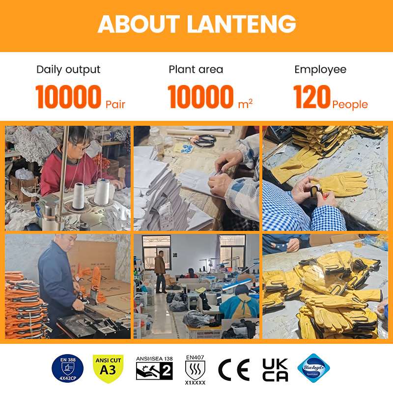 Gants de travail industriels e - Leatherwork Logo avis et prix